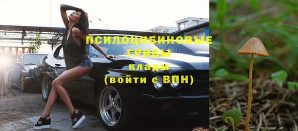 прущие грибы Белокуриха