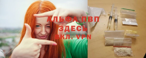 прущие грибы Белокуриха