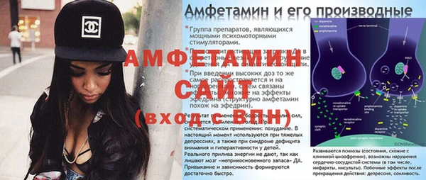 прущие грибы Белокуриха
