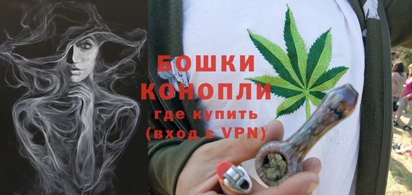 прущие грибы Белокуриха