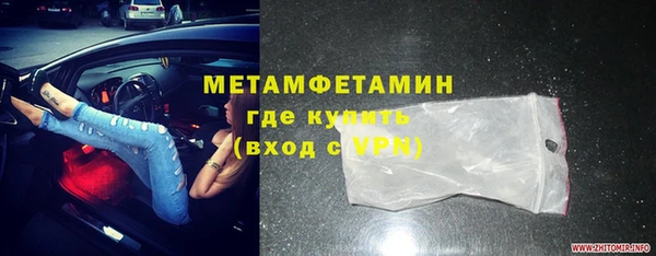 прущие грибы Белокуриха